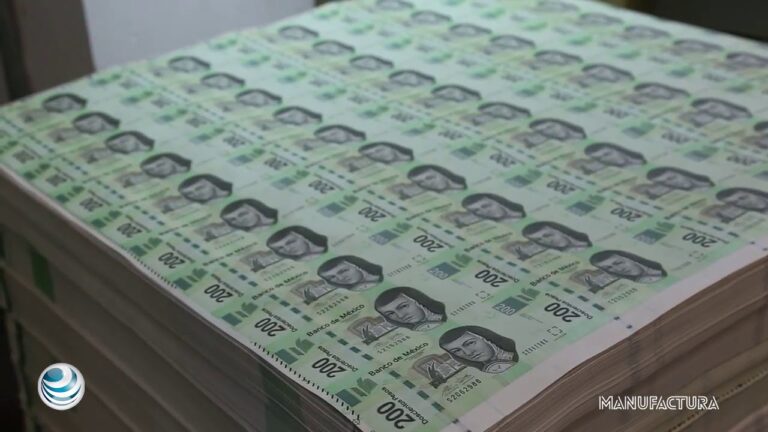 Peso turco a peso argentino: una gu&iacute;a pr&aacute;ctica para el cambio de divisas