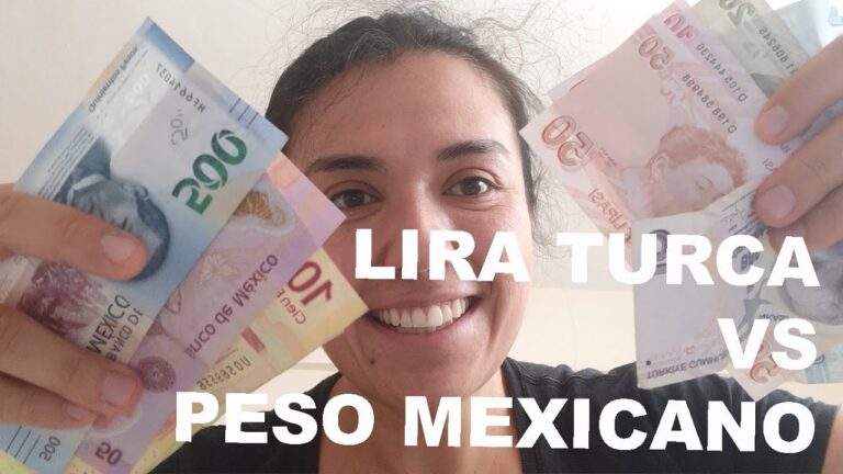 Conversi&oacute;n eficiente: 100 liras turcas a pesos argentinos