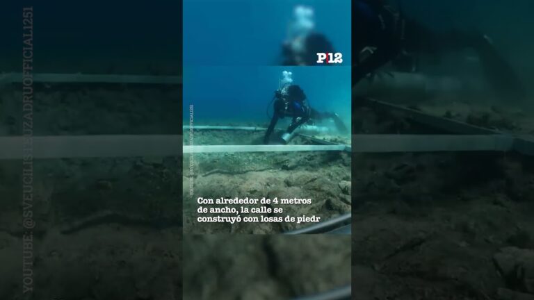Ruta 1000: Descubre los secretos de Argentina en ruta.com.ar
