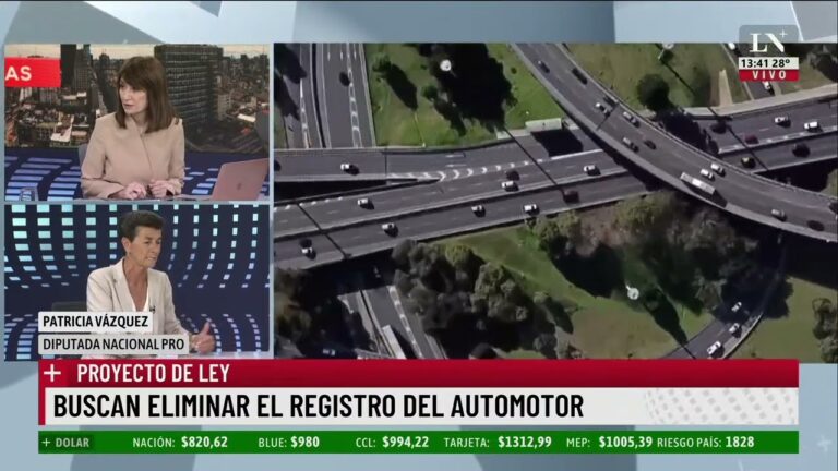 La historia de la patente automotor en San Mart&iacute;n