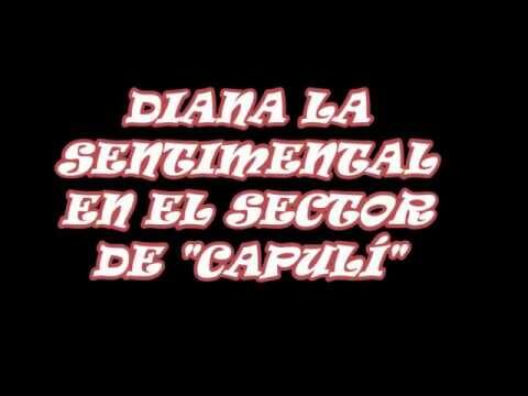 Garc&iacute;a y Olivero: El legado de las totoras