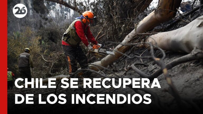 Conversi&oacute;n de 149 d&oacute;lares a pesos chilenos: Gu&iacute;a r&aacute;pida y sencilla
