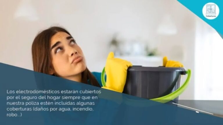 Gu&iacute;a de electrodom&eacute;sticos cubiertos por el seguro