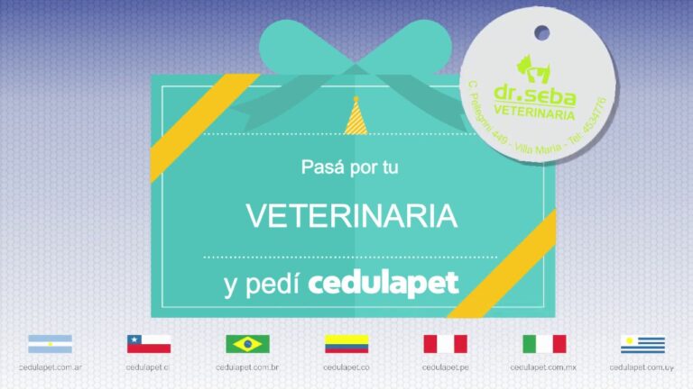 Dr. Seba Veterinaria: Tu Cl&iacute;nica Veterinaria de Confianza en Villa Mar&iacute;a