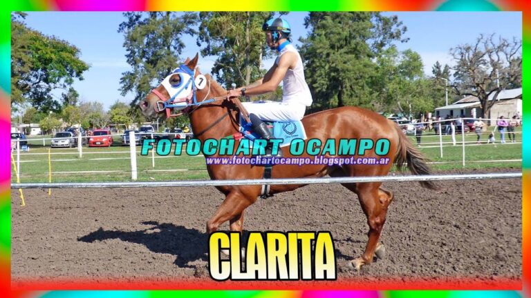 Tarifas tentadoras en El Rey Goloso de Santa Fe