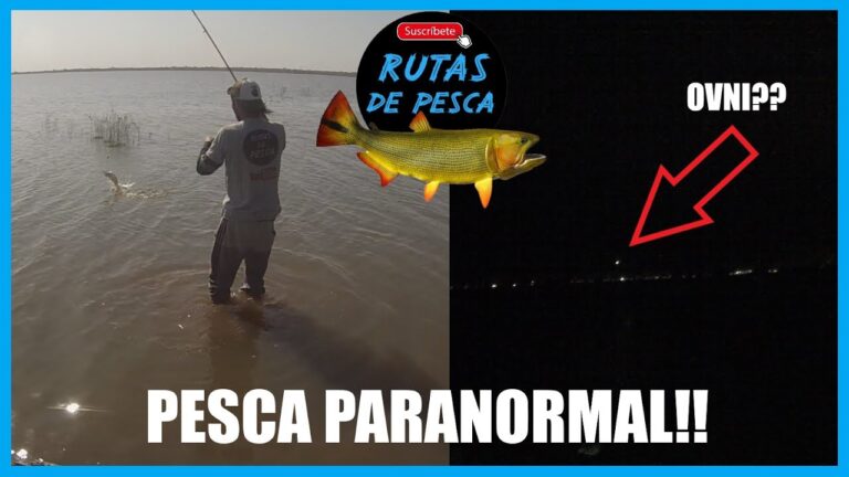 Distribuidora MG: Descubre las mejores aguas termales de R&iacute;o Hondo