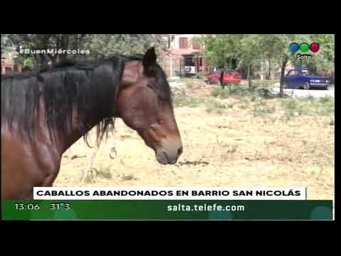 Explorando el Barrio San Nicol&aacute;s de Salta