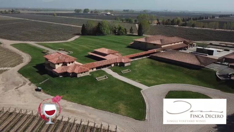 Explorando la cepa tradicional en Bodega La Rural
