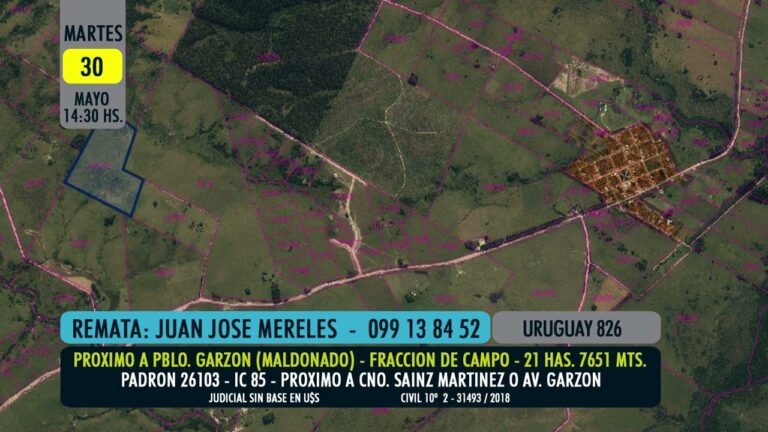 Remates judiciales: Oportunidades en campos