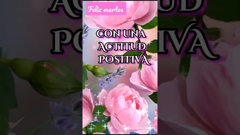 Todo sobre las tarjetas del d&iacute;a martes
