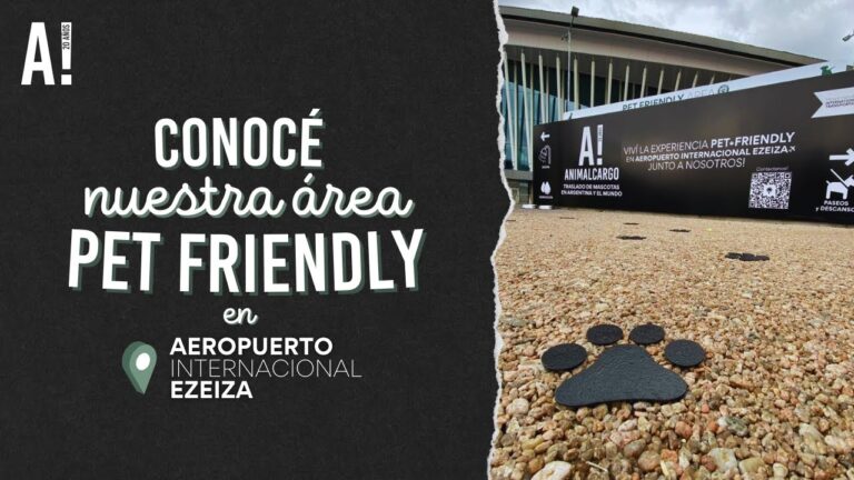 Gu&iacute;a del c&oacute;digo de &aacute;rea de Ezeiza, Buenos Aires