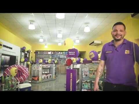 Gu&iacute;a de pinturer&iacute;as Rex locales: &iexcl;Encuentra la mejor opci&oacute;n cerca de ti!