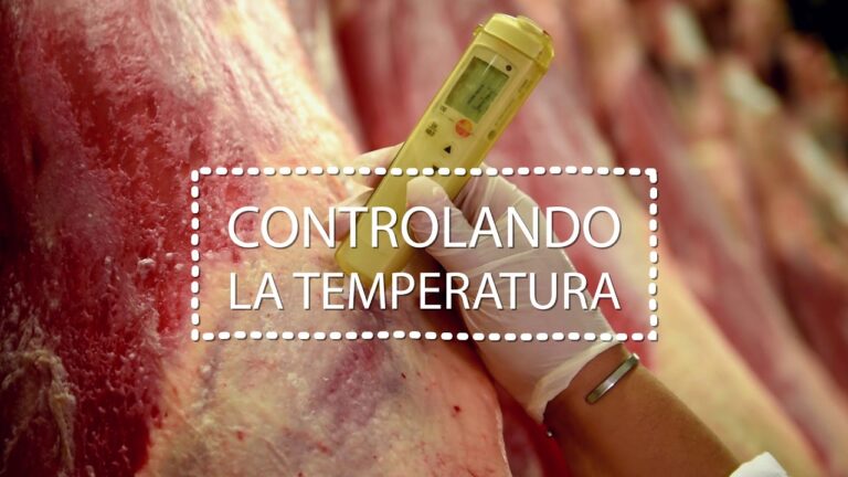 Descubre los beneficios de la súper VEA carnes