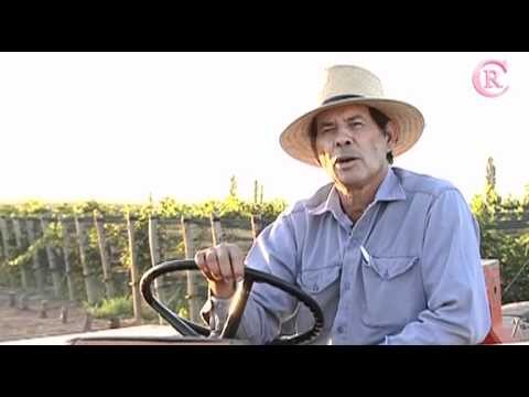La P&aacute;gina del Trabajador P&uacute;blico de Mendoza