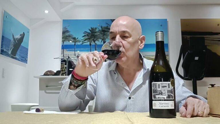 Gu&iacute;a de Sucursales de Bodegas: Encuentra tu Destino Vin&iacute;cola Ideal
