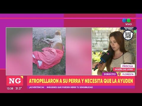 Veterinarias en el Centro de Rosario: Encuentra la Mejor Atenci&oacute;n para tu Mascota