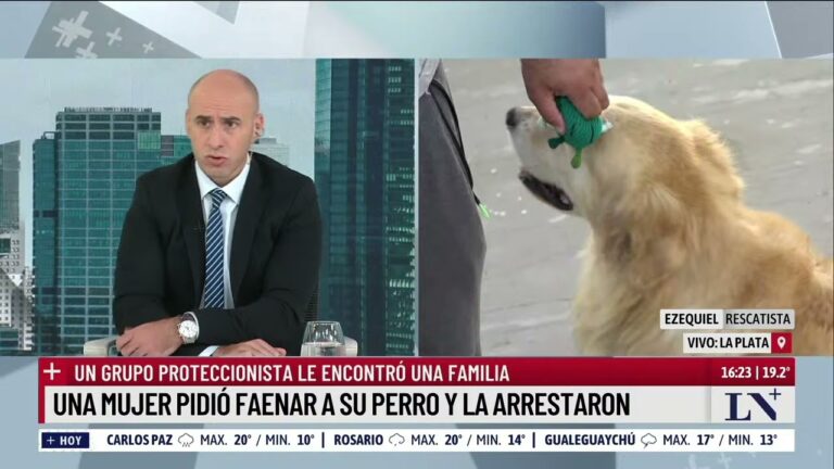 Descubre la mejor carnicer&iacute;a en Malvinas Sur