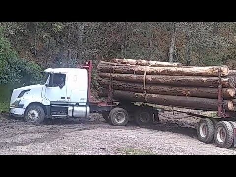 Maderera La Loma 161 y 40: Calidad y Variedad en Productos de Madera