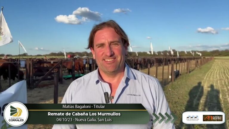 Descubre las Mejores Caba&ntilde;as en Nueva Galia, San Luis