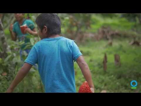Instituto Mayo San Mart&iacute;n: Referente en Salud y Educaci&oacute;n