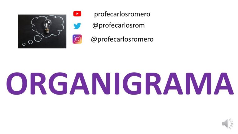 Estructura organizativa de empresas argentinas