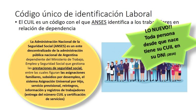 El papel del cuit poder judicial en la sociedad actual