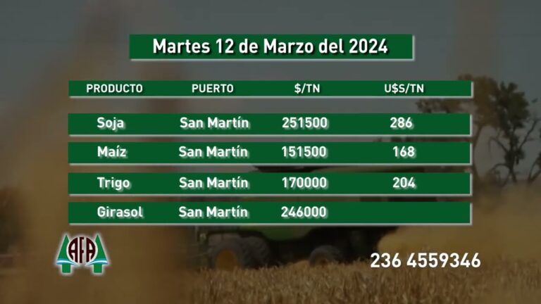 Convertir 286 d&oacute;lares a pesos: Gu&iacute;a r&aacute;pida y efectiva