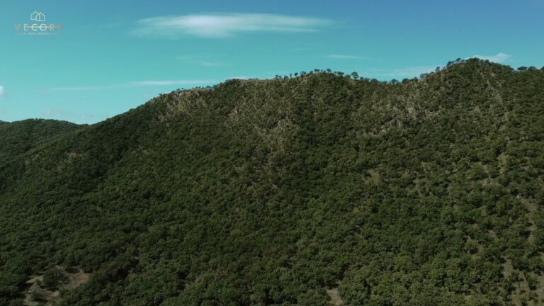 Terrenos en Venta: Oferta de 40 mil pesos