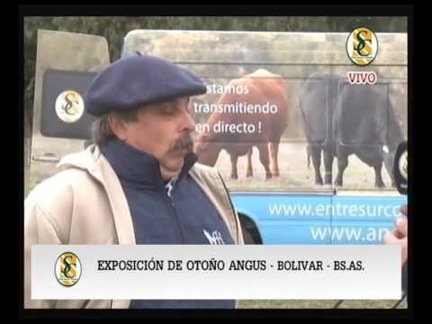 Telechea Junín: Un Destino Imperdible en Argentina