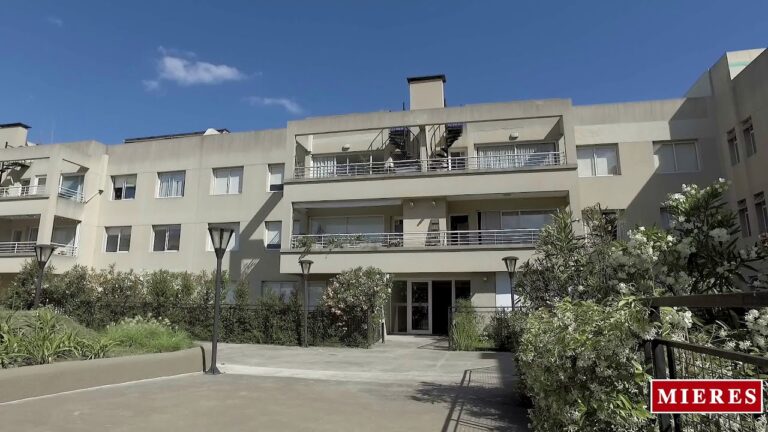 Venta de Sucre en San Isidro: &iexcl;Descubre la mejor opci&oacute;n!