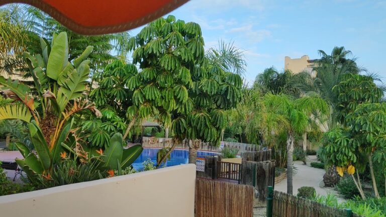 Muebler&iacute;a Fern&aacute;ndez: La Mejor Opci&oacute;n en San Antonio Oeste