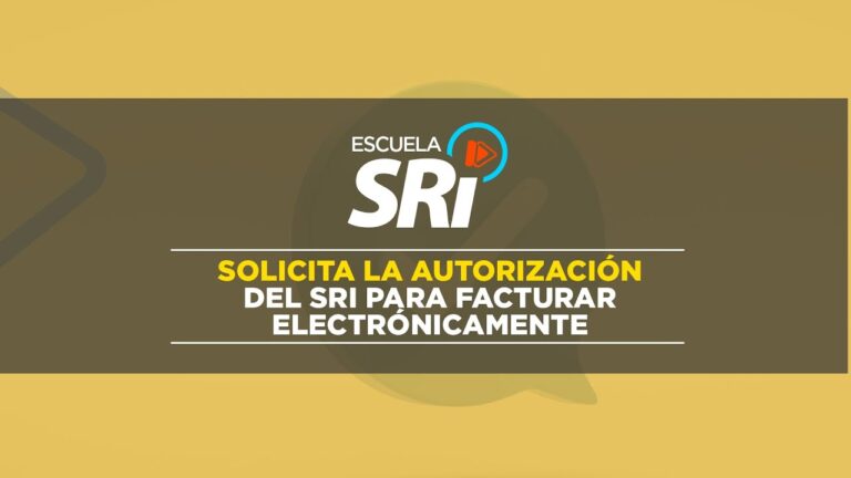 Gu&iacute;a del C&oacute;digo de Autorizaci&oacute;n Electr&oacute;nica: Todo lo que necesitas saber