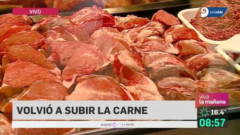 Ofertas de carne en Mendoza: ¡Aprovecha los mejores precios!