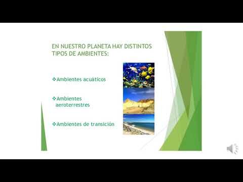 Argentina en transici&oacute;n: El nuevo ambiente pol&iacute;tico y econ&oacute;mico