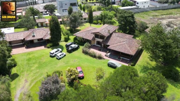 Todo sobre la casa de cambio en San Rafael, Mendoza