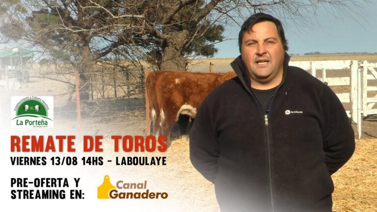 Zafra: La Tradici&oacute;n de la Talabarter&iacute;a Argentina