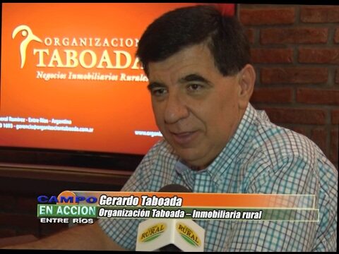 Gu&iacute;a de compra venta en General San Mart&iacute;n, Chaco