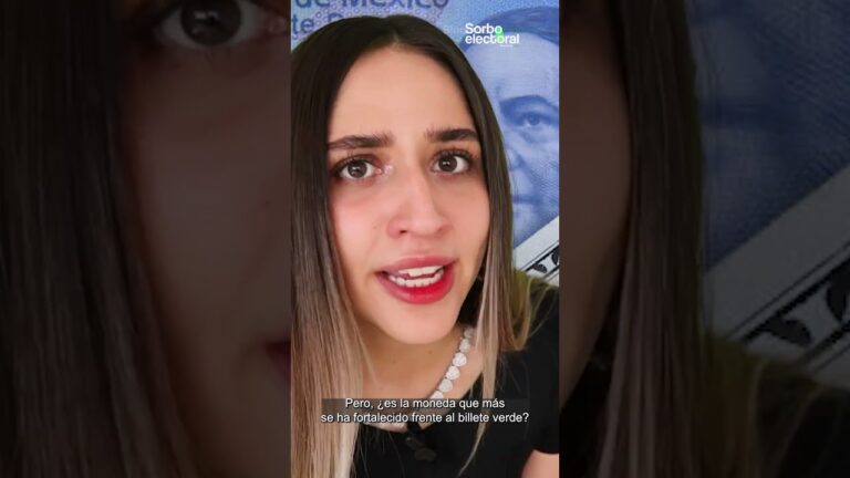 Convertir 24 d&oacute;lares a pesos: Gu&iacute;a r&aacute;pida y sencilla
