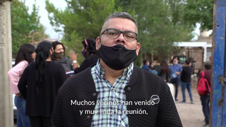 La Constituci&oacute;n de Neuqu&eacute;n: Ley Fundamental de la Provincia