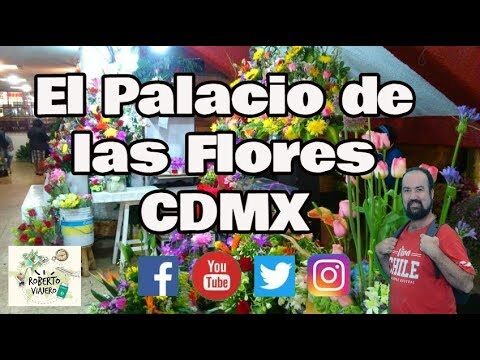 El floreciente mercado de flores de Chacarita