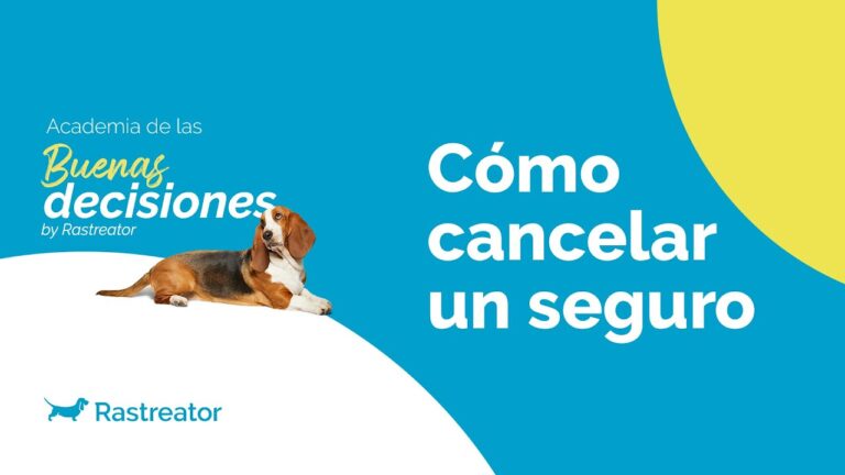 Gu&iacute;a para dar de baja tu seguro Triunfo de forma r&aacute;pida y sencilla