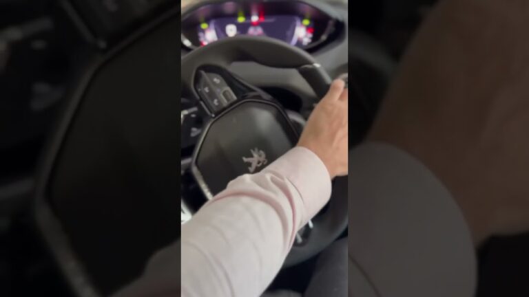 Servicio Oficial Peugeot en Bariloche: Calidad Garantizada