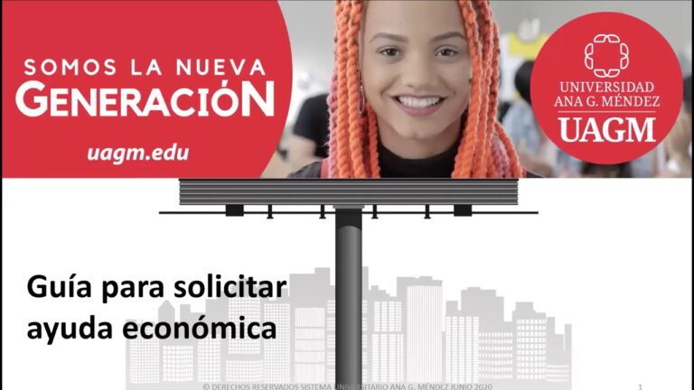 Gu&iacute;a de ayuda especializada: Ameport