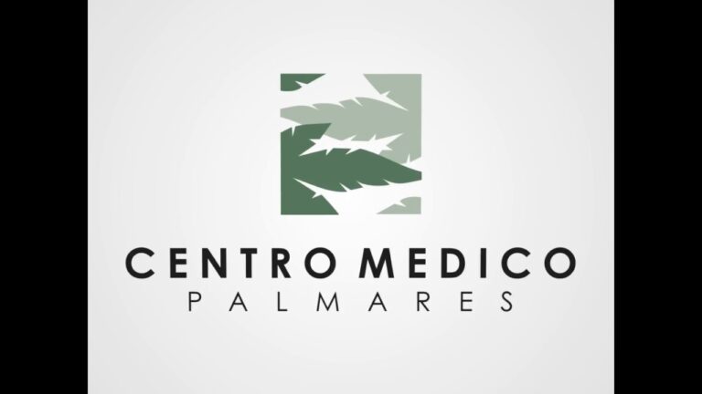 Gu&iacute;a para Optimizar los Turnos en Palmares