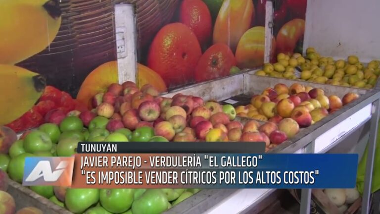 Verduler&iacute;a Mendoza: Tu mejor opci&oacute;n para productos frescos