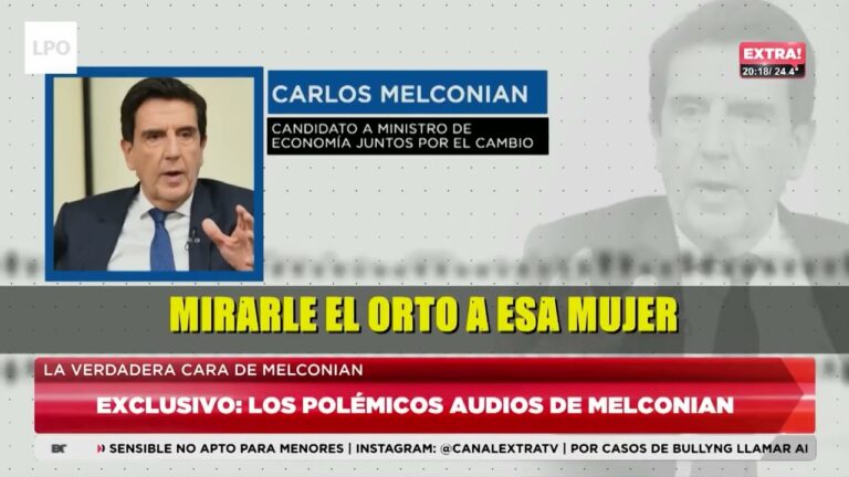 Bancos de Sangre Felina en CABA