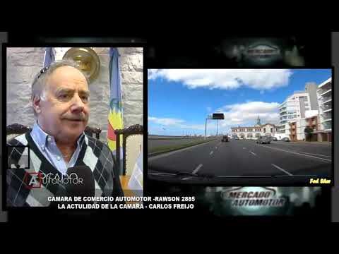 Gu&iacute;a de compra de c&aacute;maras para autom&oacute;viles en Mar del Plata