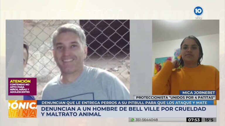 Correo Argentino en Bell Ville: Servicios y Ubicaci&oacute;n