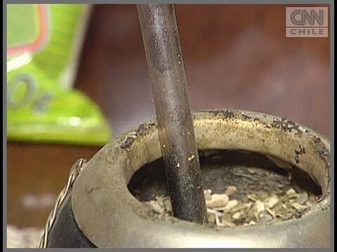 Beneficios de la Yerba Larca: Una Perspectiva Optimizada