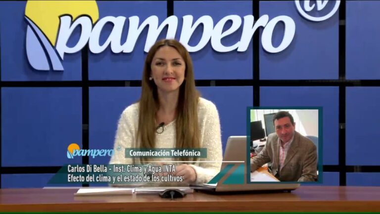 Pampero: el viento que define la navegaci&oacute;n en Bah&iacute;a Blanca
